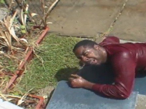 The Snake Pit Bar ( David Spates )