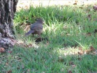 Episode 14 Legions Behind Scenes 2