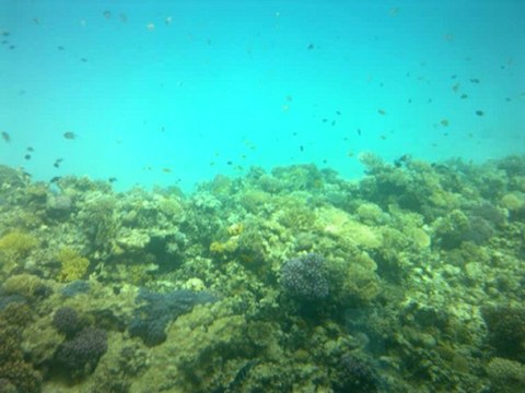 Foto Slideview Vakantie Marit Marc Egypte Hurghada April 2011