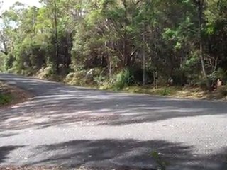 Touring Cars - Targa Tasmania 2011