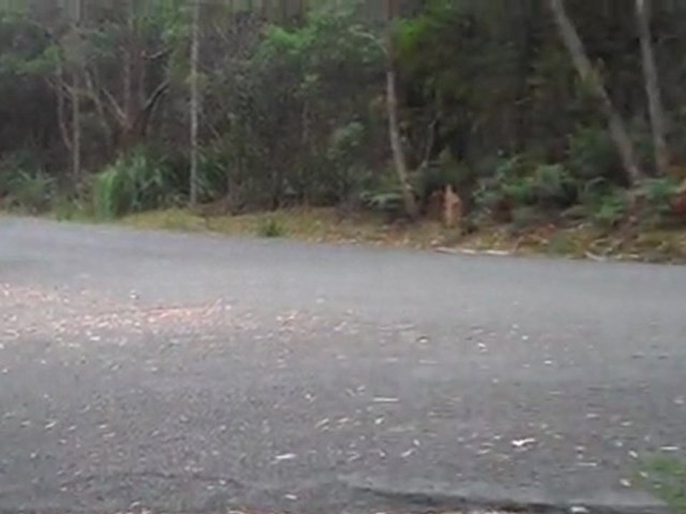 Mazda Racing - Targa Tasmania 2011