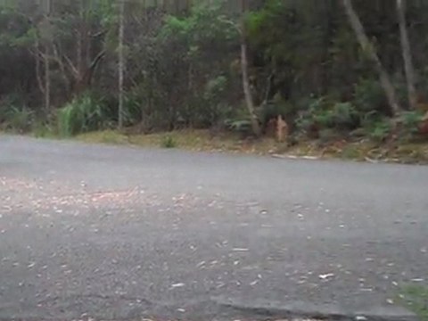 Mazda Racing - Targa Tasmania 2011