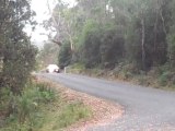 Porsche Speedster Classic - Targa Tasmania