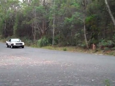 Fast Holden Torana - Targa Tasmania 2011