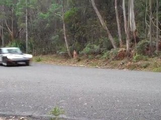 Porsche - Targa Tasmania 2011