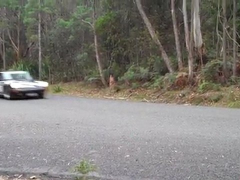 Porsche - Targa Tasmania 2011
