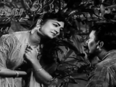 MAIN TUM HI SE YEH PUCHHTI HOON : Lata Mangeshker - Mohd. Rafi : Black Cat