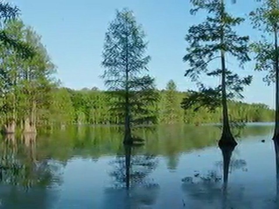 Africa