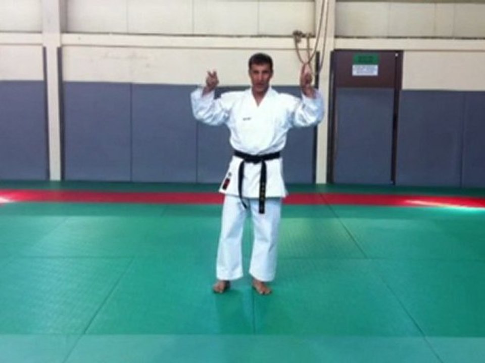 ZenKutsu Dachi