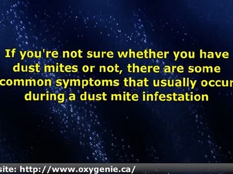 Reasons Dust Mites Removal In Calgary Is Important - Calgary Mattress Cleaning