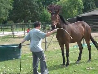 01.05.2011.zl.tiloa.douche