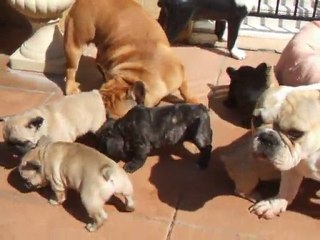 1er sorti sur la terrasse