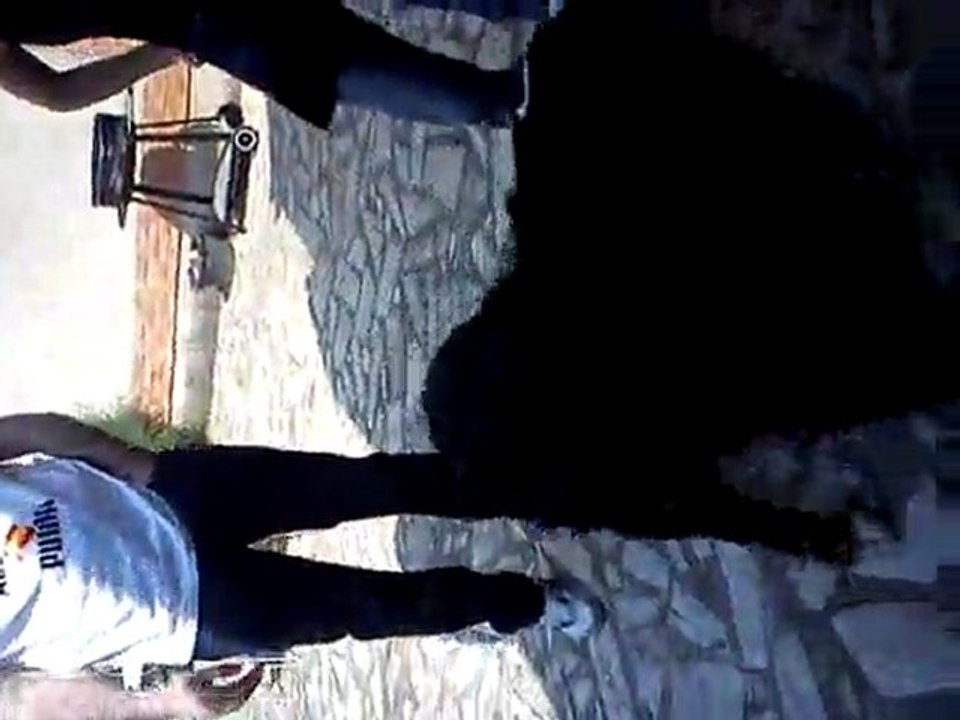 Doggy et cie