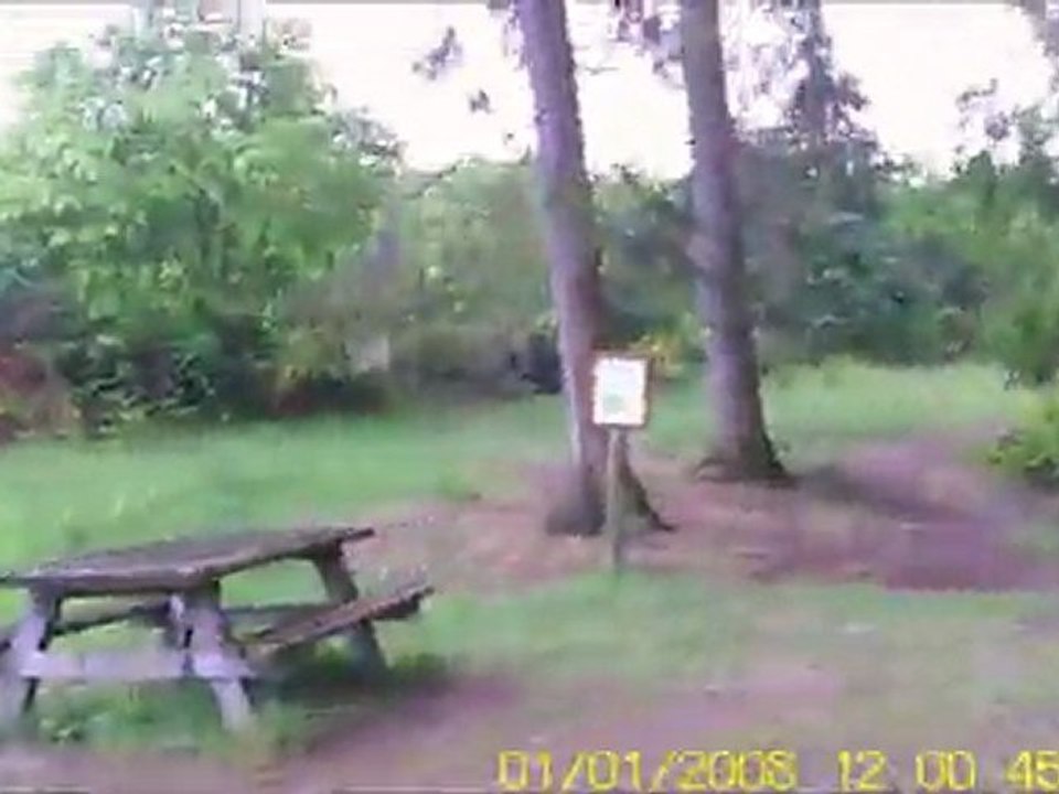 foret de bercé le 27.04.11