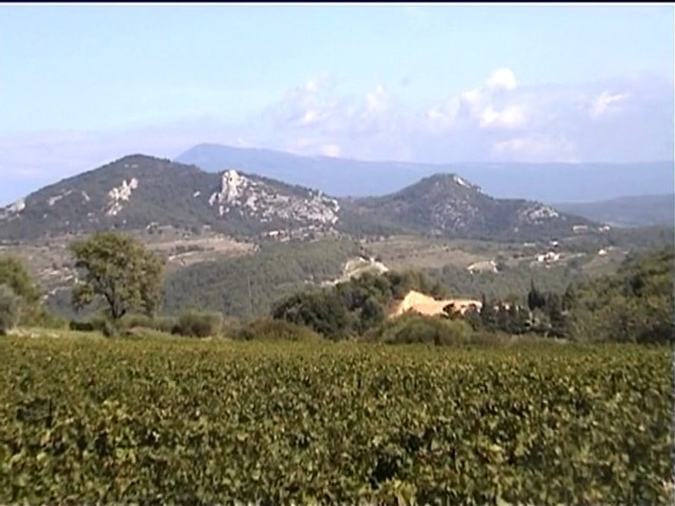 Domaine de Durban, au pays du muscat