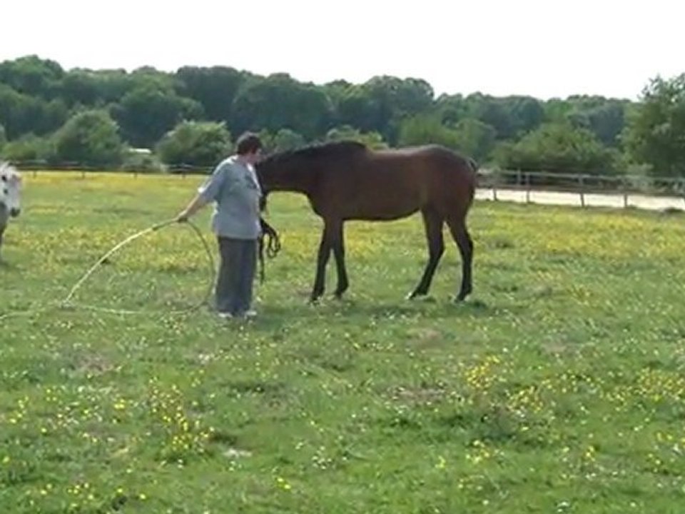 01.05.2011.zq.tiloa.douche