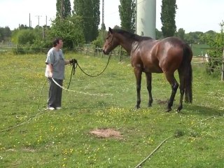 01.05.2011.zu.tiloa.douche
