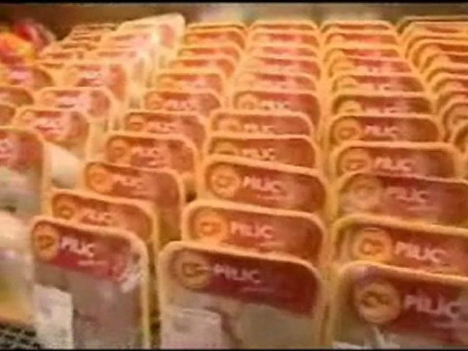 CP Yumurta
