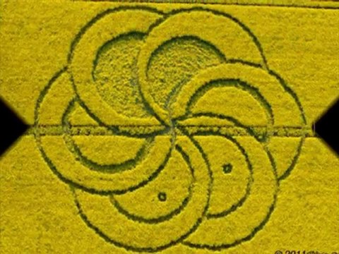 Crop circle - Silbury Hill, Wiltshire - 29 Avril 2011