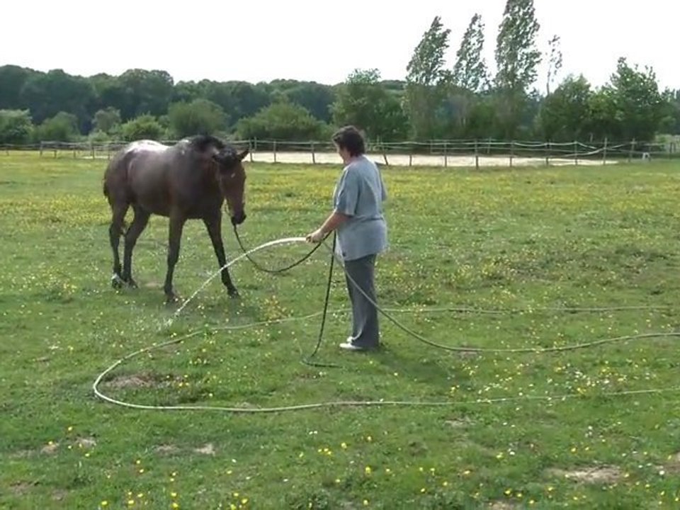 01.05.2011.zy.tiloa.douche
