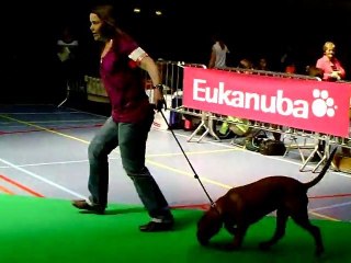 JTM de L'Exigence et Farka de la Tour Gelee , a la journee des jeunes et veterans de Louvain le 01.05.2011