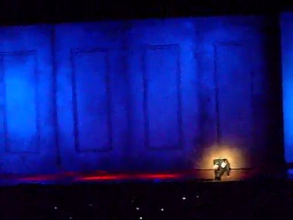 Mozart l'Opéra Rock (l'Assasymphonie)