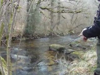 VIDZ OUVERTURE TRUITE