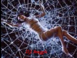 DANCE VOYAGE ( d.j. snaggle )