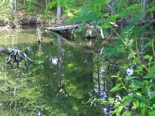 More thoughts inspired by JK