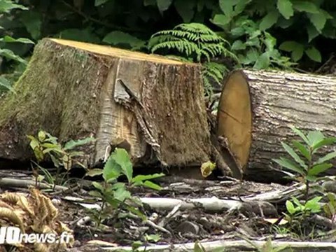 0205-Chaine humaine st leu vonews