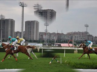 Safari İstanbul-Hipodrom