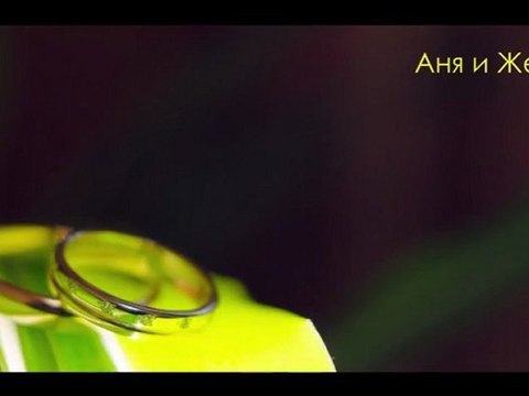 2011.04.29 Анна и Евгений - обзорный видеоклип