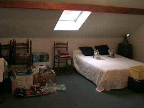 Visite de la chambre d'amis