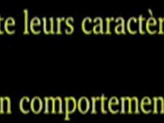 FATWA OF SHAYKH IBN UTHYMEEN FROM LIQAH BAB MAFTOOH 3