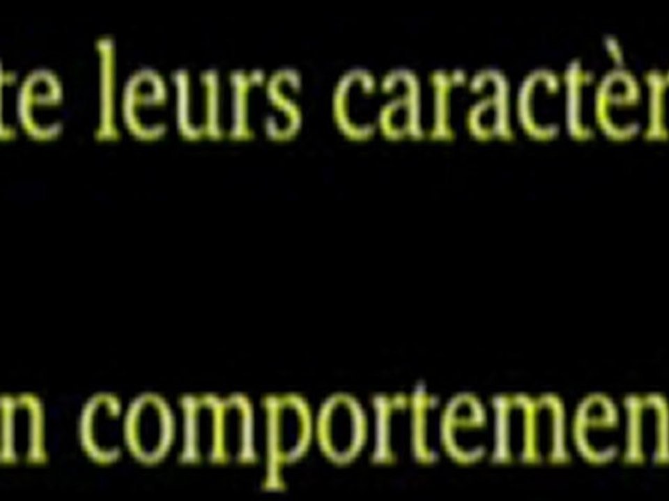 FATWA OF SHAYKH IBN UTHYMEEN FROM LIQAH BAB MAFTOOH 3