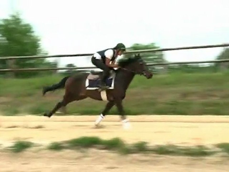 Lot 57