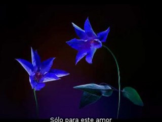 David Arnold (Feat Iggy Pop) - We Have All The Time In The World