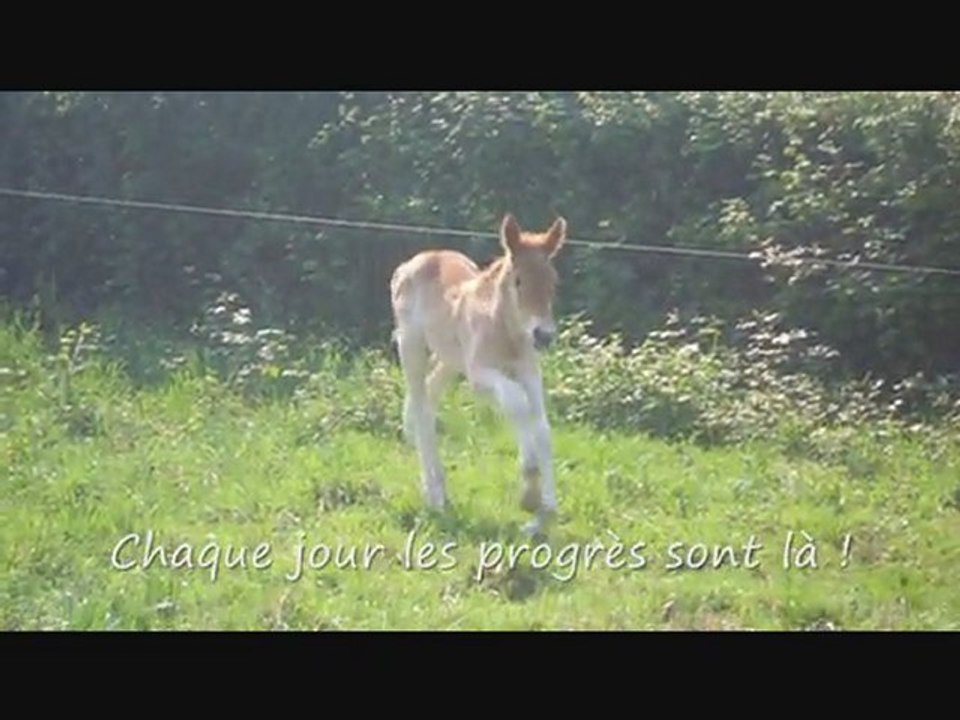 Biscuit,Baila et Bihotz