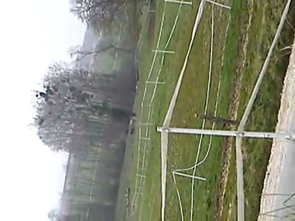 Cali qui galopent dans le pré