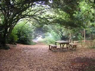 GİRESUN LAPAKÖYÜ  Selda Bagcan   Giresun Ustune (esref Turkusu)