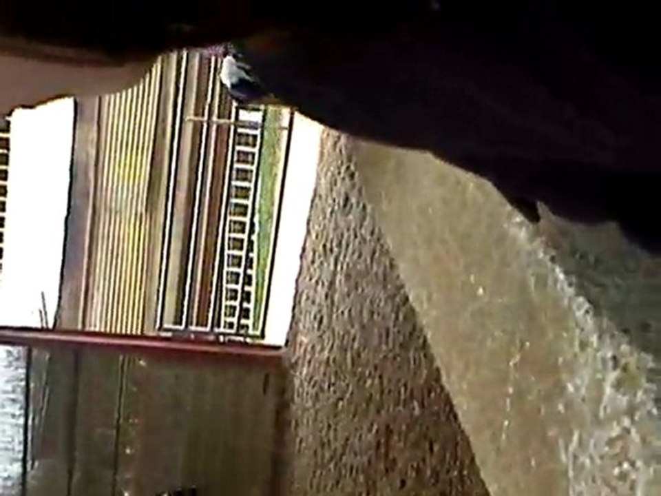 le cours des poney (au trot)