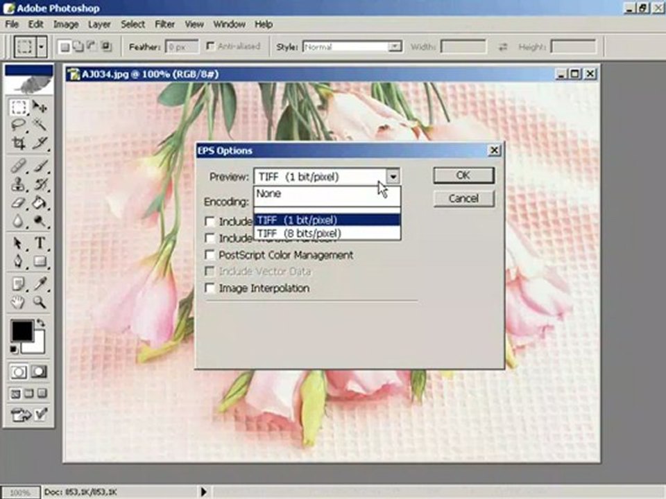 eps_biciminde_dosya_kaydetmek "teknoctrl"
