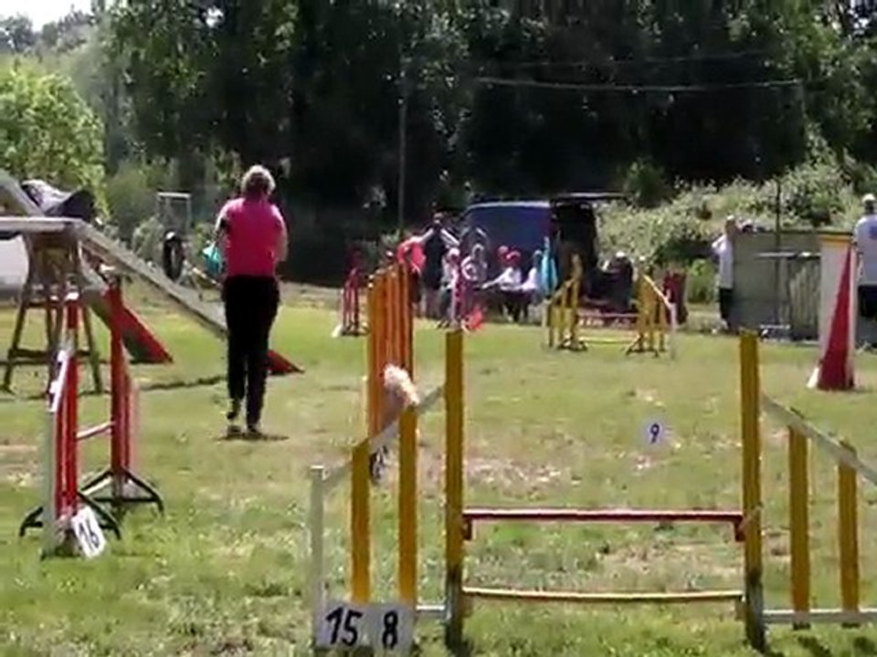 Manche 1 agility