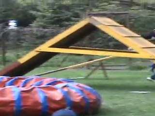 "Zuikelio taurė" - GabrielėxBerta2