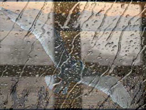 Yigit Cumalı-Öyle Çok Özledim