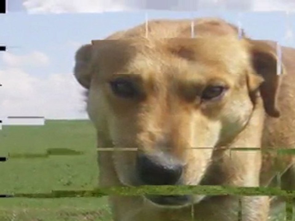 Eğirler Köyü Köyden Manzaralar-8