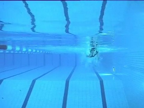 atayuzme.com.tr | Serbest Yüzme Stili Videoları