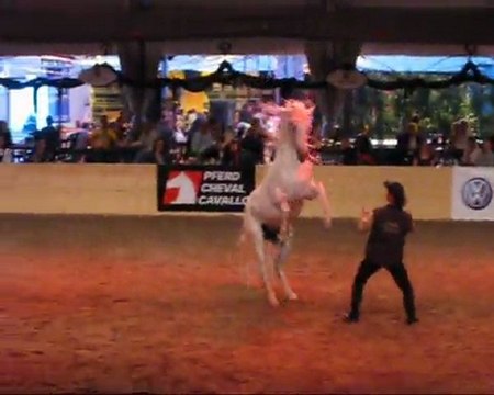 Parelli Night 2011 - Bern