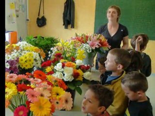 Le pouvoir des fleurs au Mikado