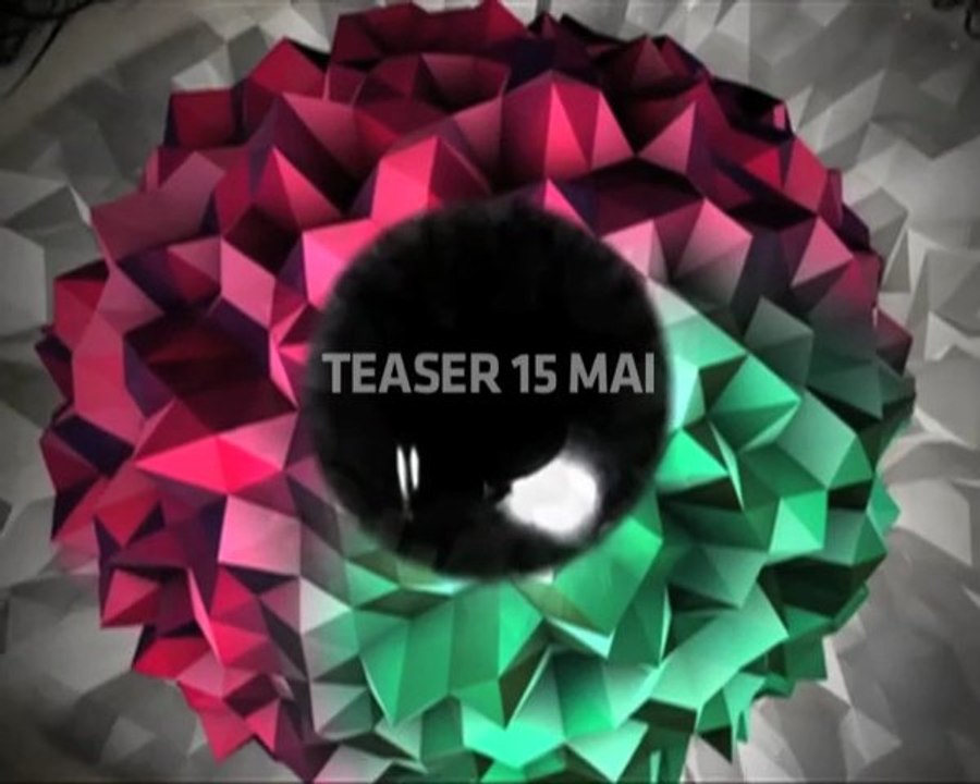 VisionR2011-teaser_dim15_PARISmercoeur